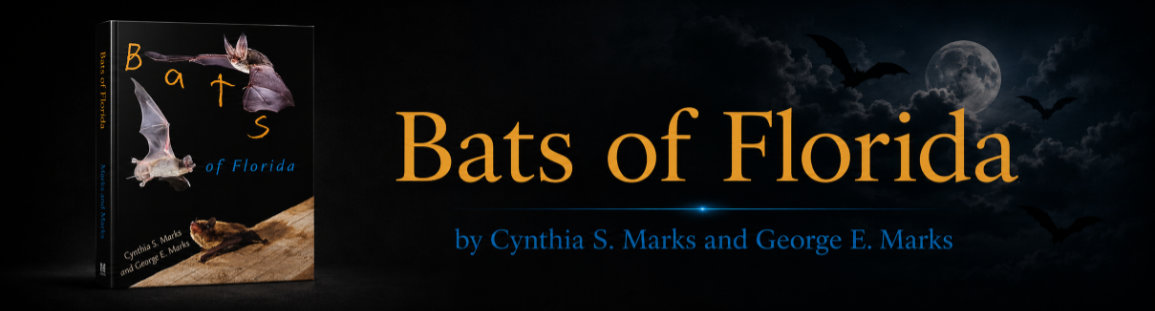 Banner announcing G. Edward Marks, Author of sci-fi and fanasy