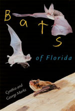 Bats of Florida Book Cover Photo